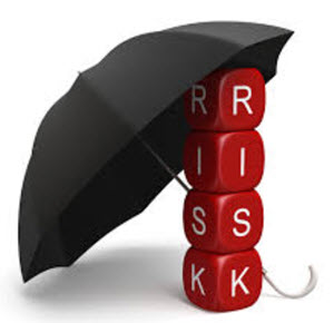 risk begransning